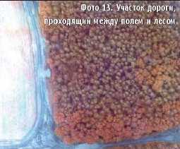 Вертолет, 2004 № 3 pic_41.jpg