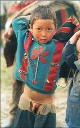 Вертолет 2001 03 pic_100.jpg