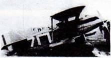 АвиО'3 pic_6.jpg