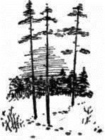 В мире исканий (сборник) _30.jpg