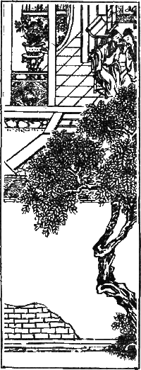 Рассказы Ляо Чжая о необычайном  i_005.png