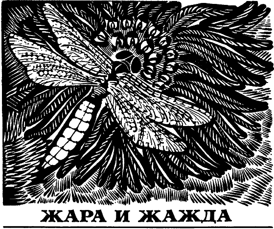 Два лика пустыни i_010.png