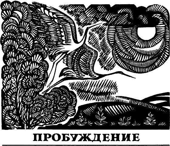 Два лика пустыни i_017.png