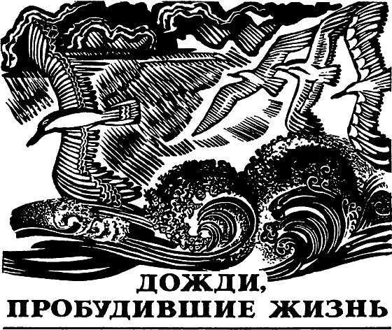 Два лика пустыни i_021.png