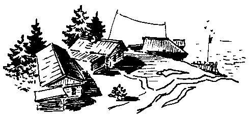 Смелый гриб pic_12.png