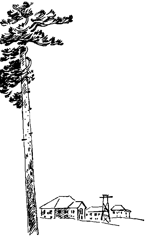 Смелый гриб pic_24.png