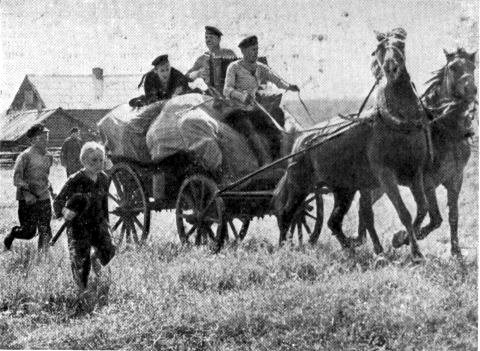 Грозовыми тропами (сборник) i_029.jpg