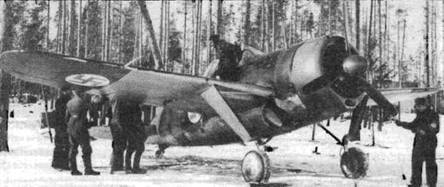 Brewster Buffalo pic_19.jpg