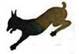 Brewster Buffalo pic_161.jpg