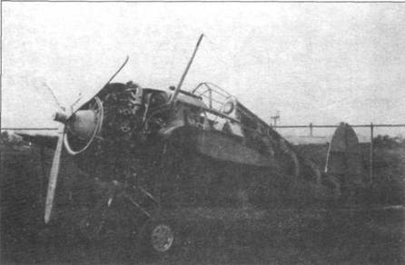Grumman Wildcat pic_6.jpg