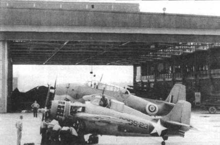 Grumman Wildcat pic_137.jpg