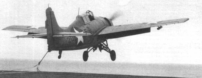 Grumman Wildcat pic_138.jpg
