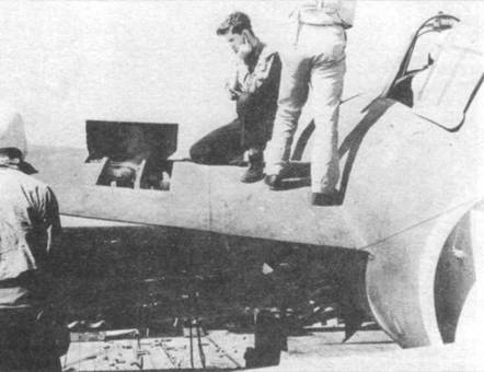Grumman Wildcat pic_140.jpg