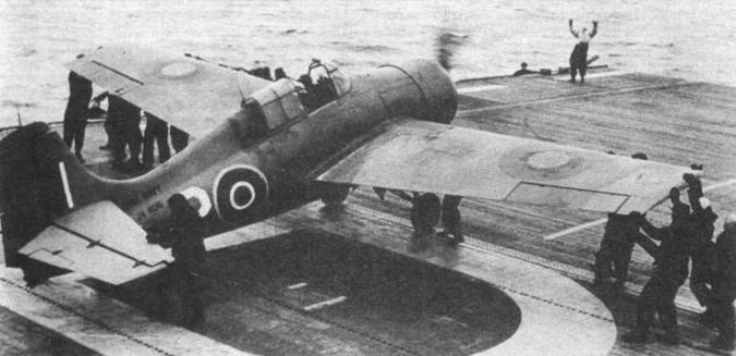Grumman Wildcat pic_172.jpg