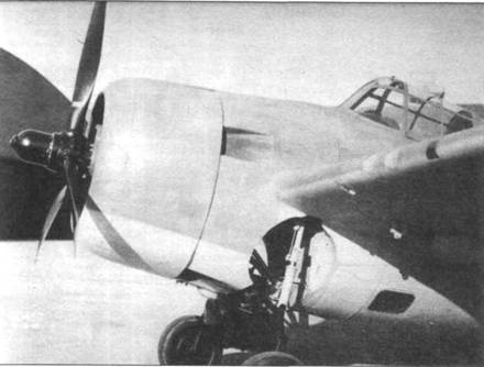 Grumman Wildcat pic_176.jpg