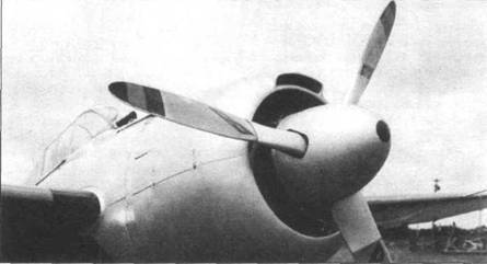 Grumman Wildcat pic_22.jpg