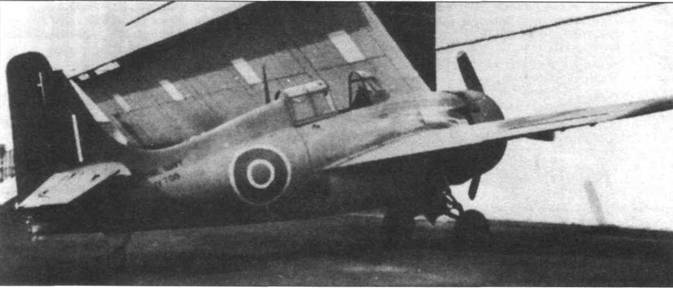 Grumman Wildcat pic_195.jpg