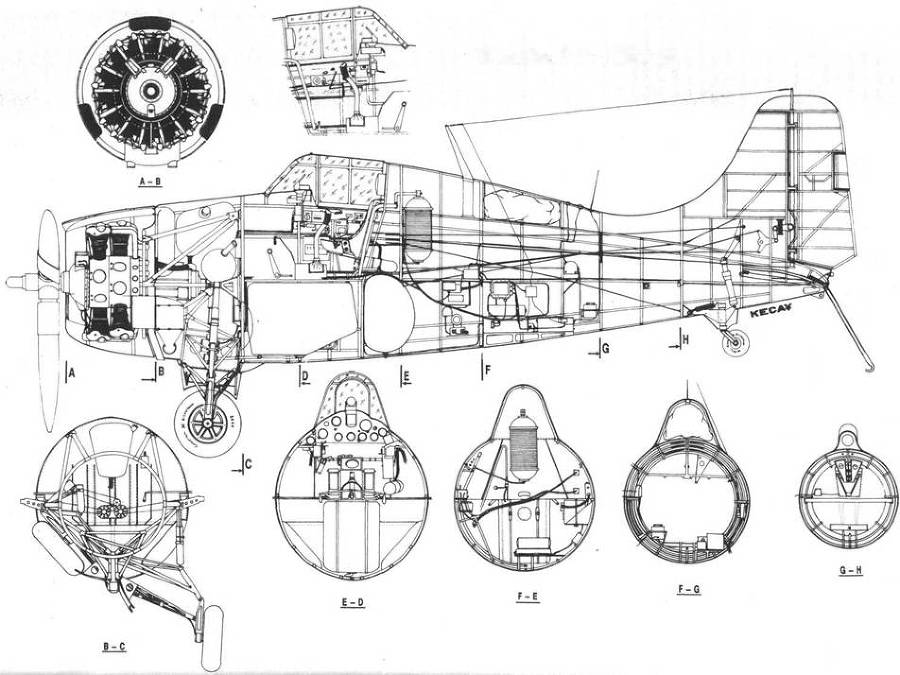 Grumman Wildcat pic_201.jpg