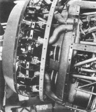 Grumman Wildcat pic_222.jpg