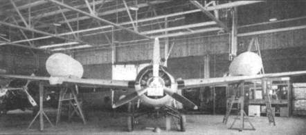 Grumman Wildcat pic_37.jpg