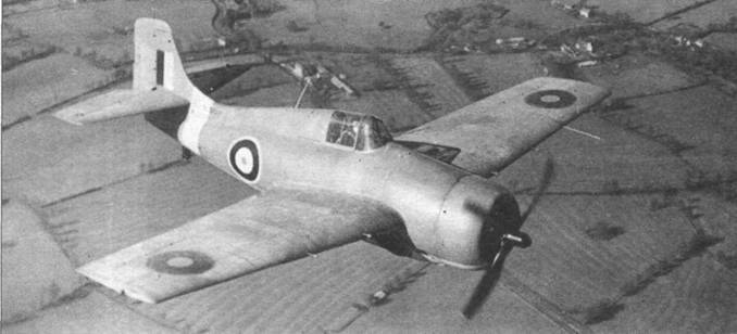 Grumman Wildcat pic_64.jpg