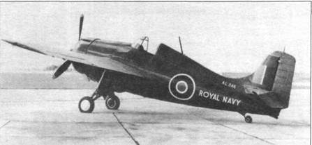 Grumman Wildcat pic_65.jpg