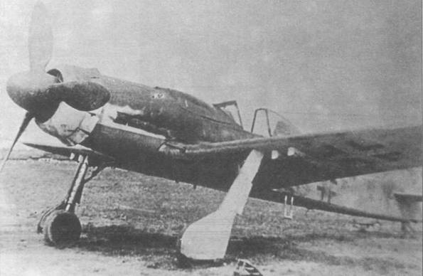 Focke Wulf Fw 190D Ta 152 pic_1.jpg