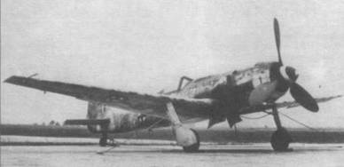 Focke Wulf Fw 190D Ta 152 pic_99.jpg