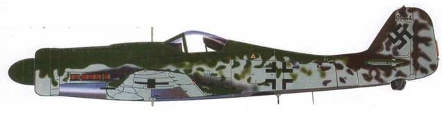Focke Wulf Fw 190D Ta 152 pic_133.jpg