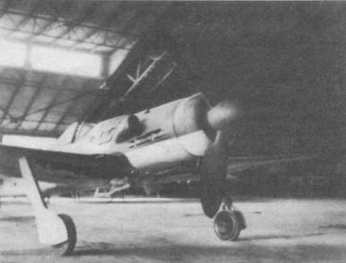 Focke Wulf Fw 190D Ta 152 pic_47.jpg