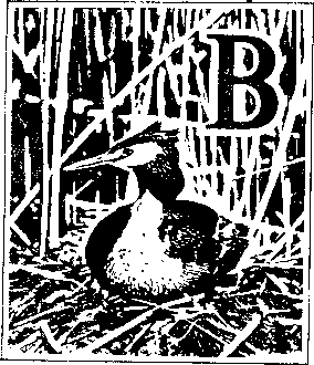 На речных берегах image030.png