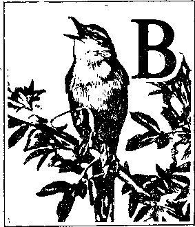 На речных берегах image034.png