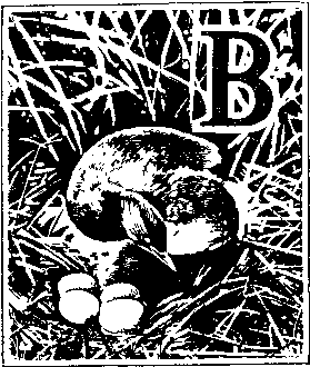 На речных берегах image040.png