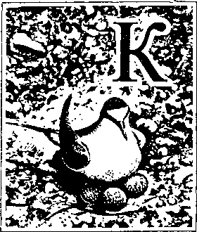 На речных берегах image042.png