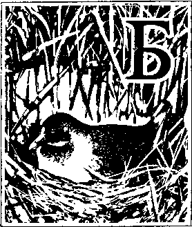 На речных берегах image048.png