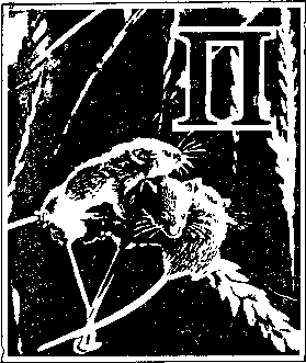 На речных берегах image012.png