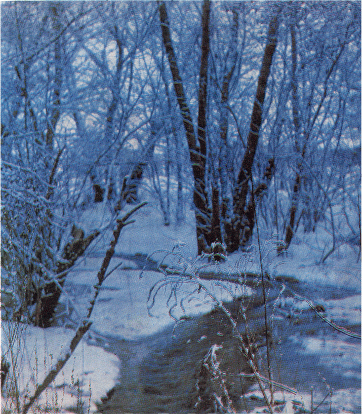 На речных берегах image058.png