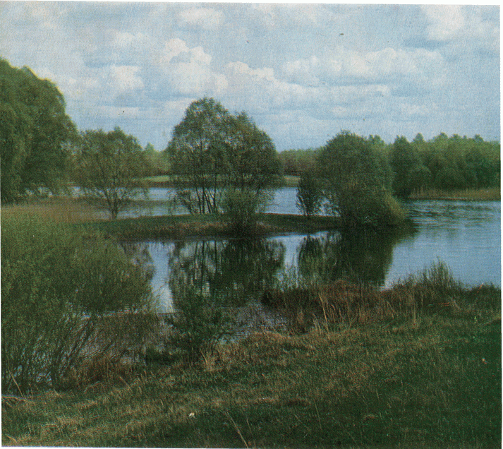 На речных берегах image060.png