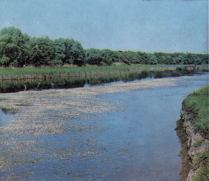 На речных берегах image076.png