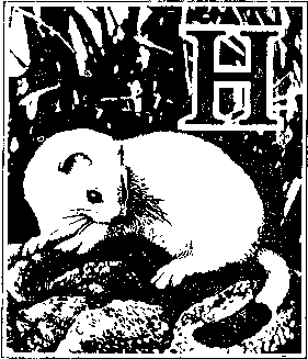 На речных берегах image018.png