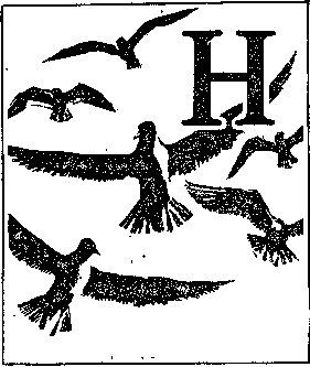 На речных берегах image020.png