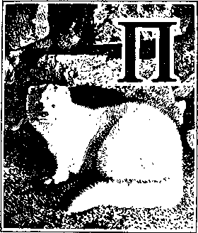 На речных берегах image022.png