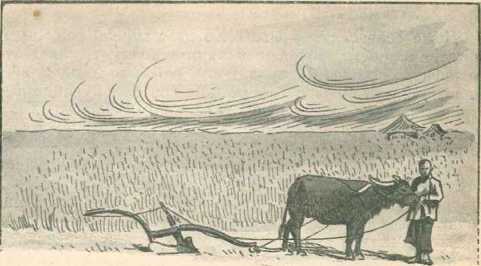 Маленький Хо i_002.jpg