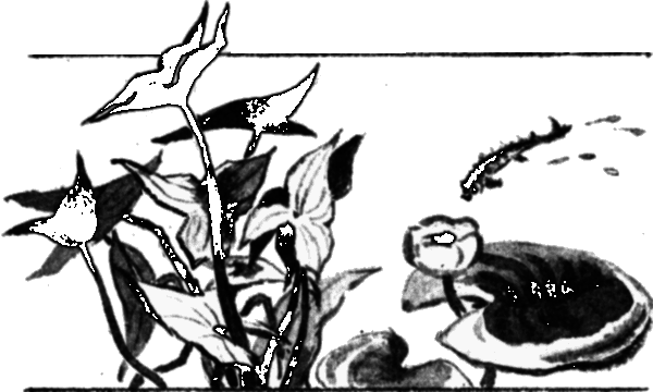 Последний коршун i_026.png