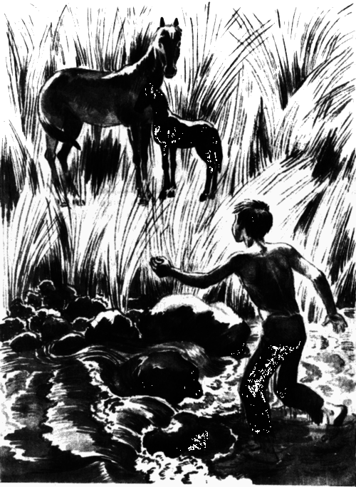 Последний коршун i_016.png