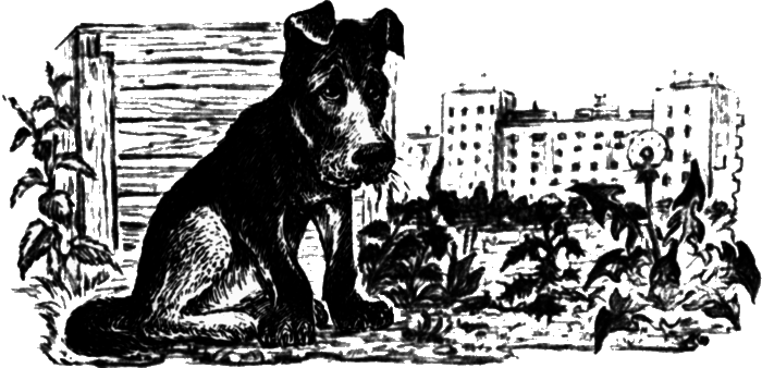 У сопки Стерегущей Рыси i_005.png