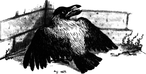 У сопки Стерегущей Рыси i_008.png