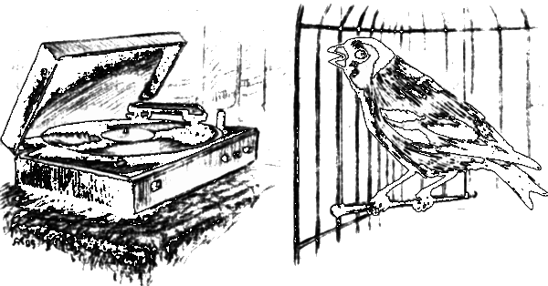 У сопки Стерегущей Рыси i_014.png
