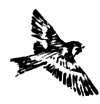 У сопки Стерегущей Рыси i_015.png