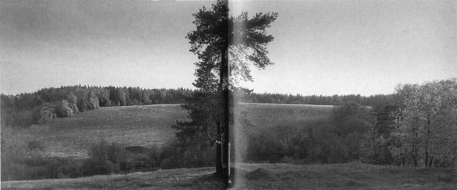 Мяч, оставшийся в небе. Автобиографическая проза. Стихи i_056.jpg